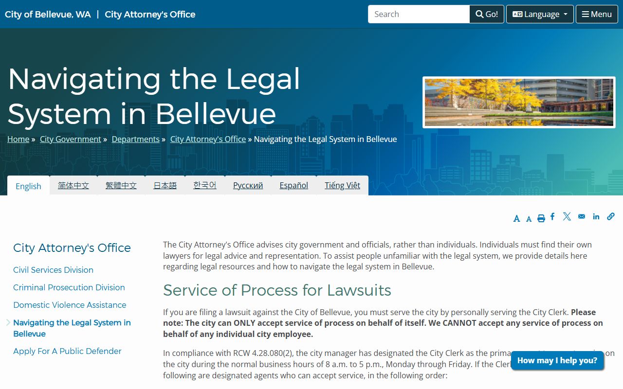 Bellevue city attorney comprehensive family court records guide